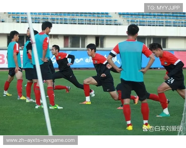 足球训练中的战术应用与技术发展