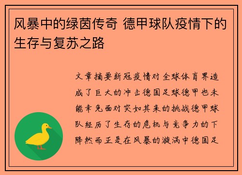 风暴中的绿茵传奇 德甲球队疫情下的生存与复苏之路